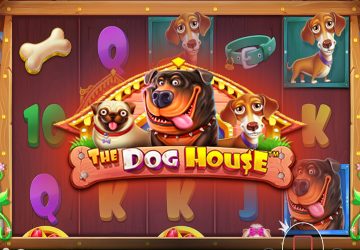 Playtech - игровой автомат онлайн от Various с RTP 96.01%